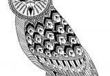 Coloriage De Chouette à Imprimer Chouette Hibou Coloriage A Colorier Pour Adulte