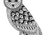 Coloriage De Chouette à Imprimer Chouette Hibou Coloriage A Colorier Pour Adulte