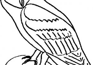 Coloriage De Chouette Effraie Chouette – Jecolore