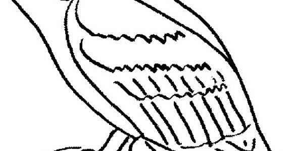 Coloriage De Chouette Effraie Chouette – Jecolore