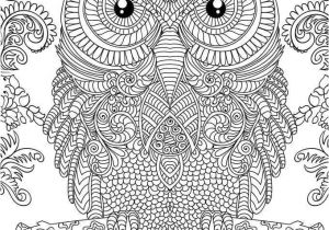 Coloriage De Chouette Effraie Les 605 Meilleures Images Du Tableau 81 Bay KuÅ Sur Pinterest