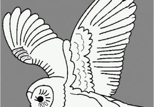Coloriage De Chouette Hulotte Chouette   Colorier