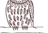 Coloriage De Chouette Hulotte Coloriage Chouette Hulotte