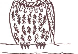 Coloriage De Chouette Hulotte Coloriage Chouette Hulotte