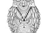 Coloriage De Chouette Ou Hibou Artist MiÄdzy Kreskami Coloring Pages Pinterest