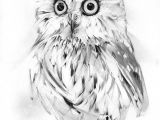 Coloriage De Chouette Ou Hibou Wise