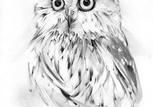 Coloriage De Chouette Ou Hibou Wise