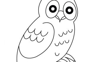 Coloriage De Chouette Rigolote 42 Dessins De Coloriage Chouette   Imprimer