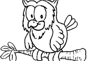Coloriage De Chouette Rigolote Dessins Gratuits   Colorier Coloriage Hibou   Imprimer