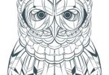 Coloriage De Chouettes Gratuit 46 Best Coloriages De Hiboux Pour Adulte Owl Adult Coloring Pages