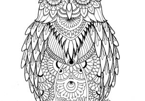 Coloriage De Chouettes Gratuit Artist MiÄdzy Kreskami Coloring Pages Pinterest