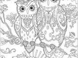 Coloriage De Chouettes Gratuit épinglé Par Christie Turley Sur Animal Coloring Pages