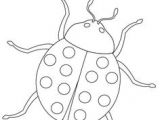 Coloriage De Coccinelle à Imprimer 282 Meilleures Images Du Tableau Coccinelles
