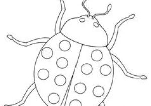 Coloriage De Coccinelle à Imprimer 282 Meilleures Images Du Tableau Coccinelles