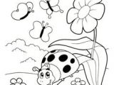 Coloriage De Coccinelle à Imprimer 282 Meilleures Images Du Tableau Coccinelles