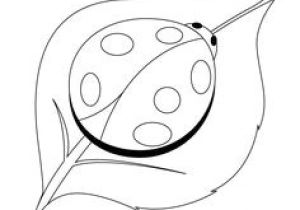 Coloriage De Coccinelle à Imprimer 52 Meilleures Images Du Tableau Coloriages Animaux De La