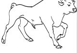 Coloriage De Corrida Dessin A Imprimer Gratuit Vache Mignon Design Animaux Coloriage