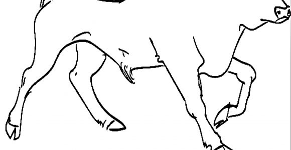 Coloriage De Corrida Dessin A Imprimer Gratuit Vache Mignon Design Animaux Coloriage