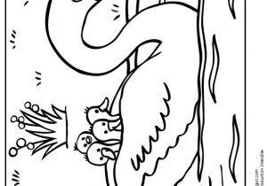 Coloriage De Cygne 77 Best Coloriages De Bébés Animaux Images On Pinterest