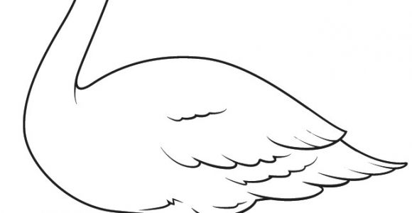 Coloriage De Cygne Dessin   Colorier Un Cygne Dessins