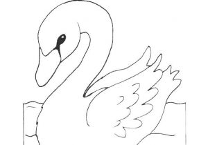 Coloriage De Cygne Les 22 Meilleures Images Du Tableau ªtre Légendaire Sur Pinterest