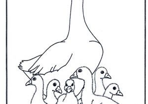 Coloriage De Cygne Mother Goose Birds Clipart De Scrap Et Coloriage