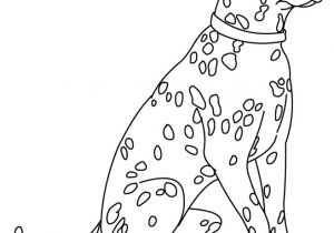 Coloriage De Dalmatien Coloriages Dalmatien Fr Hellokids