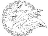 Coloriage De Dauphins A Imprimer Gratuit Idees De Fait Main Dessin Mandala A Imprimer