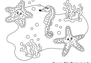 Coloriage De Etoile De Mer 14 De Luxe Coloriage Coquillage Collection