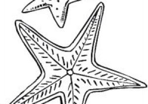 Coloriage De Etoile De Mer â Coloriage Etoile Filante A Imprimer