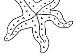 Coloriage De Etoile De Mer Coloriage Mer Et Poissons Gratuit 8173 Animaux