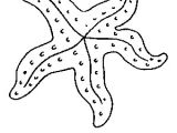 Coloriage De Etoile De Mer Coloriage Mer Et Poissons Gratuit 8173 Animaux
