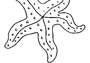 Coloriage De Etoile De Mer Coloriage Mer Et Poissons Gratuit 8173 Animaux