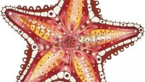 Coloriage De Etoile De Mer Etoile De Mer Starfish Résumé