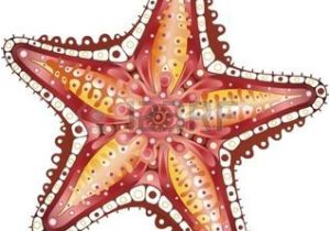 Coloriage De Etoile De Mer Etoile De Mer Starfish Résumé