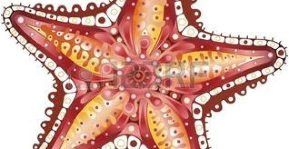 Coloriage De Etoile De Mer Etoile De Mer Starfish Résumé