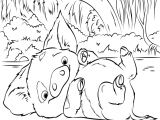 Coloriage De Fée A Imprimer Gratuit Meilleur De Coloriage Vaiana A Imprimer