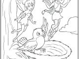 Coloriage De Fee Clochette Et Ses Amis Fees Coloriages Nakupovaniinfo Fees Coloriages La Fee Coloriages Fee