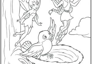 Coloriage De Fee Clochette Et Ses Amis Fees Coloriages Nakupovaniinfo Fees Coloriages La Fee Coloriages Fee