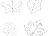 Coloriage De Feuilles D Automne 1044 Best Automne Images On Pinterest