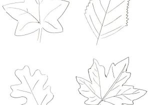 Coloriage De Feuilles D Automne 1044 Best Automne Images On Pinterest