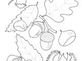 Coloriage De Feuilles D Automne 318 Best Coloriages De Fleurs Et Nature Images On Pinterest