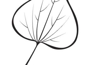 Coloriage De Feuilles D Automne 9 Best Droits De L Enfant Images On Pinterest
