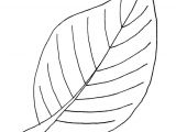 Coloriage De Feuilles D Automne 9 Best Droits De L Enfant Images On Pinterest