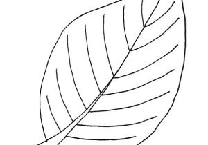 Coloriage De Feuilles D Automne 9 Best Droits De L Enfant Images On Pinterest