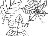 Coloriage De Feuilles D Automne Afficher L Image D origine Projets   Essayer