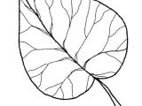 Coloriage De Feuilles D Automne Coloriage Feuilles Automne Limetier Leaf Craft