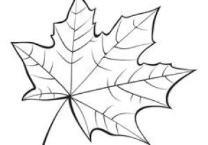 Coloriage De Feuilles D Automne Dessin Coloriage Feuille Automne Pinterest