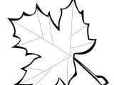 Coloriage De Feuilles D Automne Feuille De Diddl A Imprimer Az Coloriage