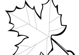 Coloriage De Feuilles D Automne Feuille De Diddl A Imprimer Az Coloriage